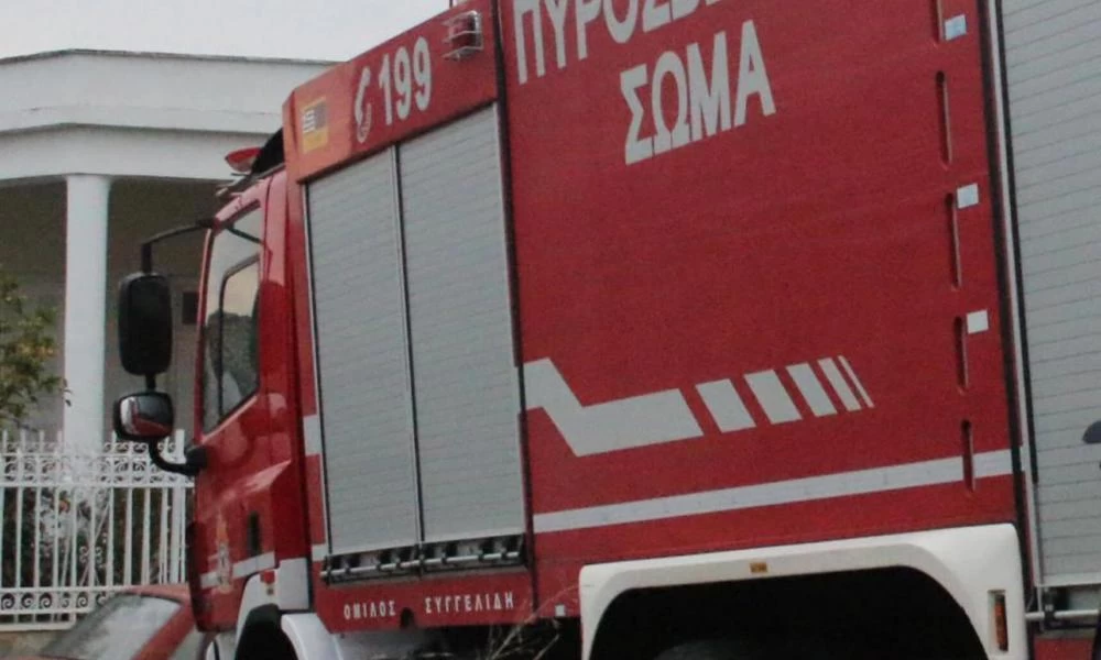Φωτιά σε Βόλο και Εύβοια: Kινητοποίηση της πυροσβεστικής